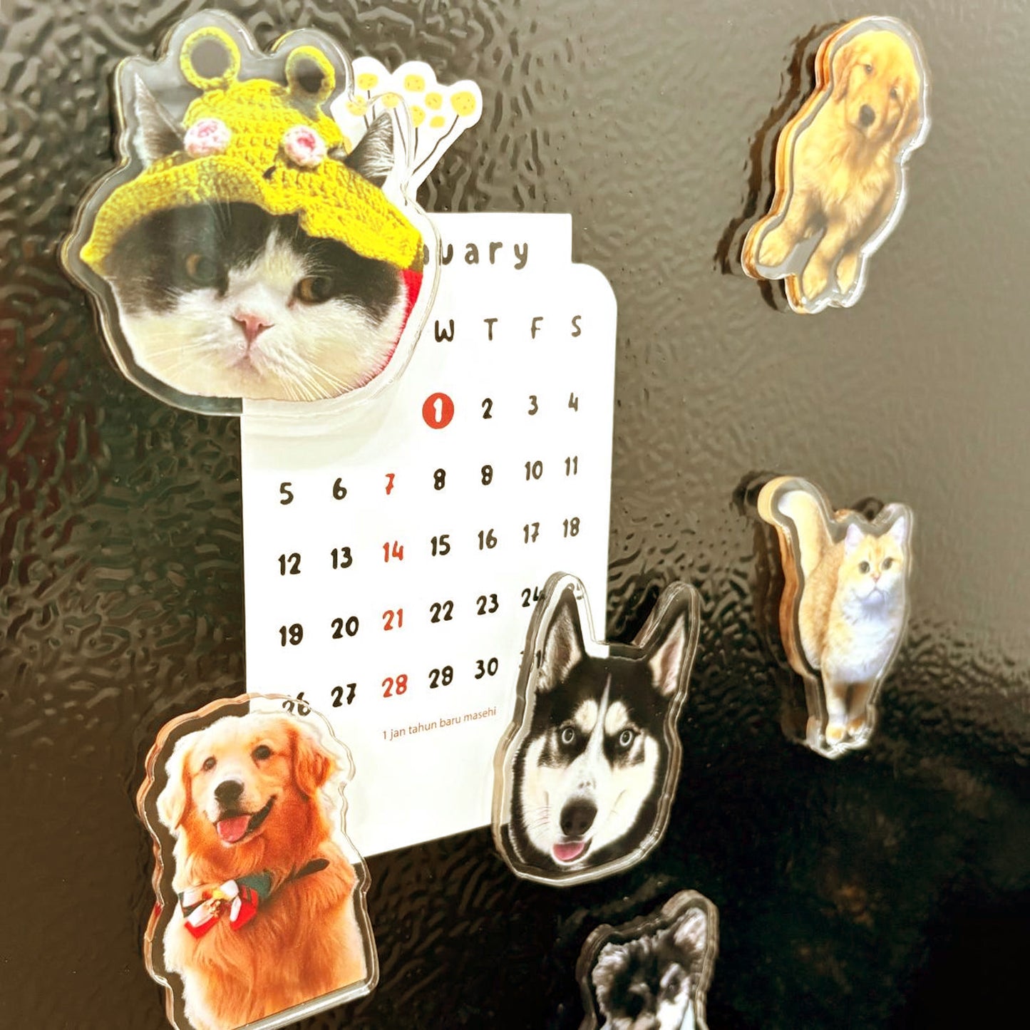 Custom Shape Acrylic Fridge Magnet Plus