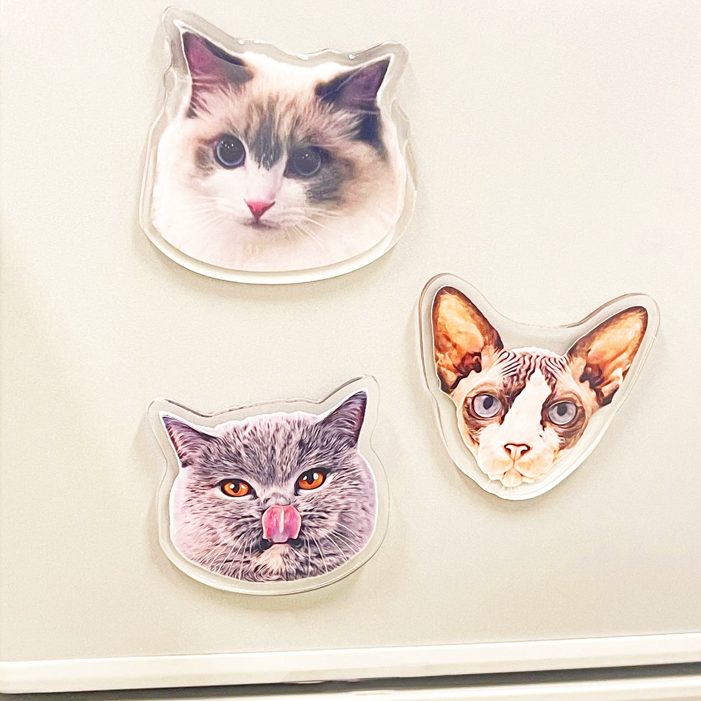 Custom Shape Acrylic Fridge Magnet Plus