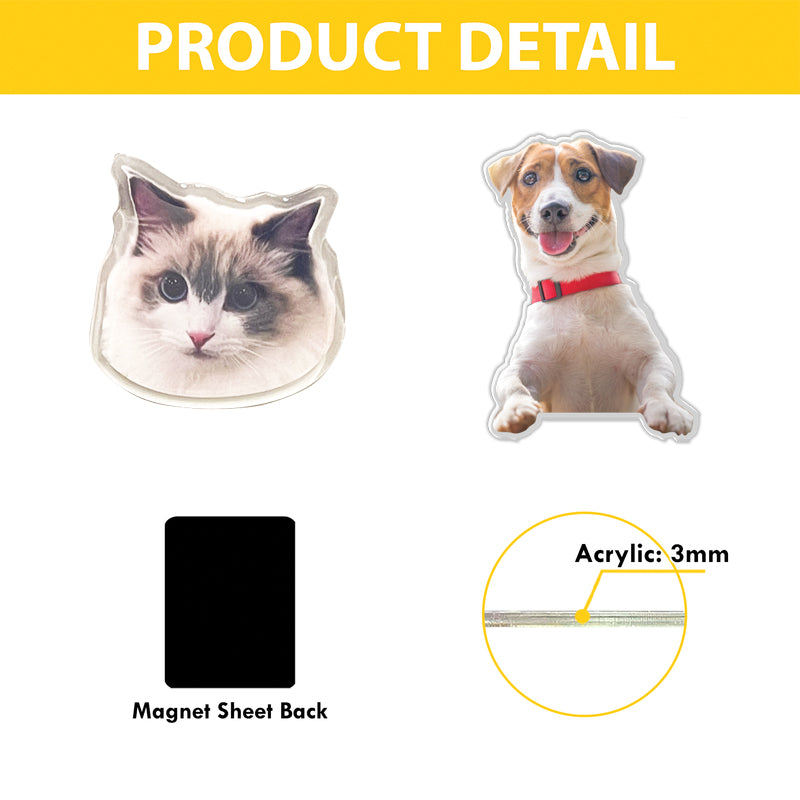Custom Shape Acrylic Fridge Magnet Plus