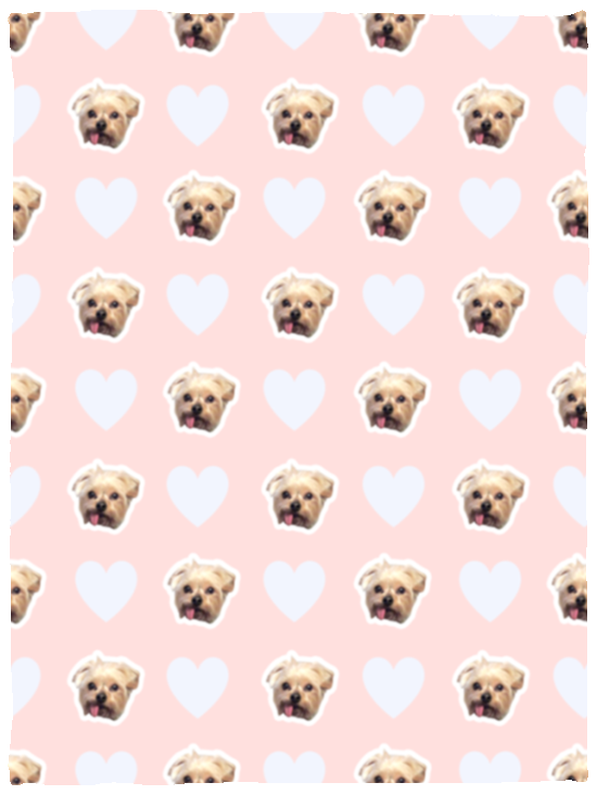 VPS Cozy Plush Fleece Blanket - 30x40