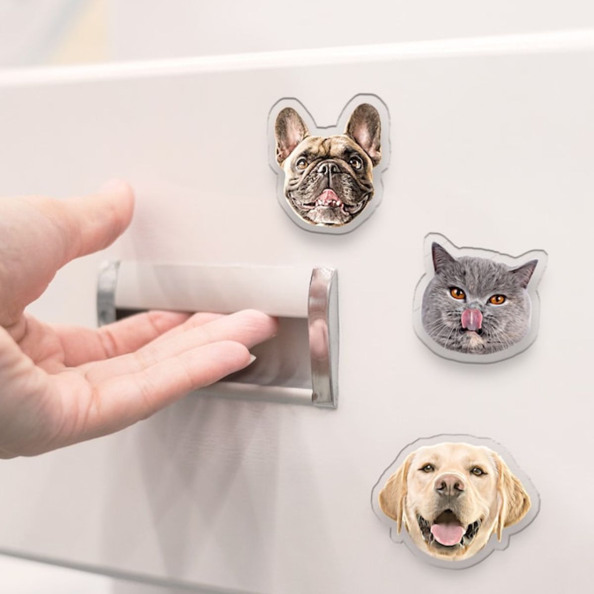Custom Photo Magnet - Kitchen Decor
