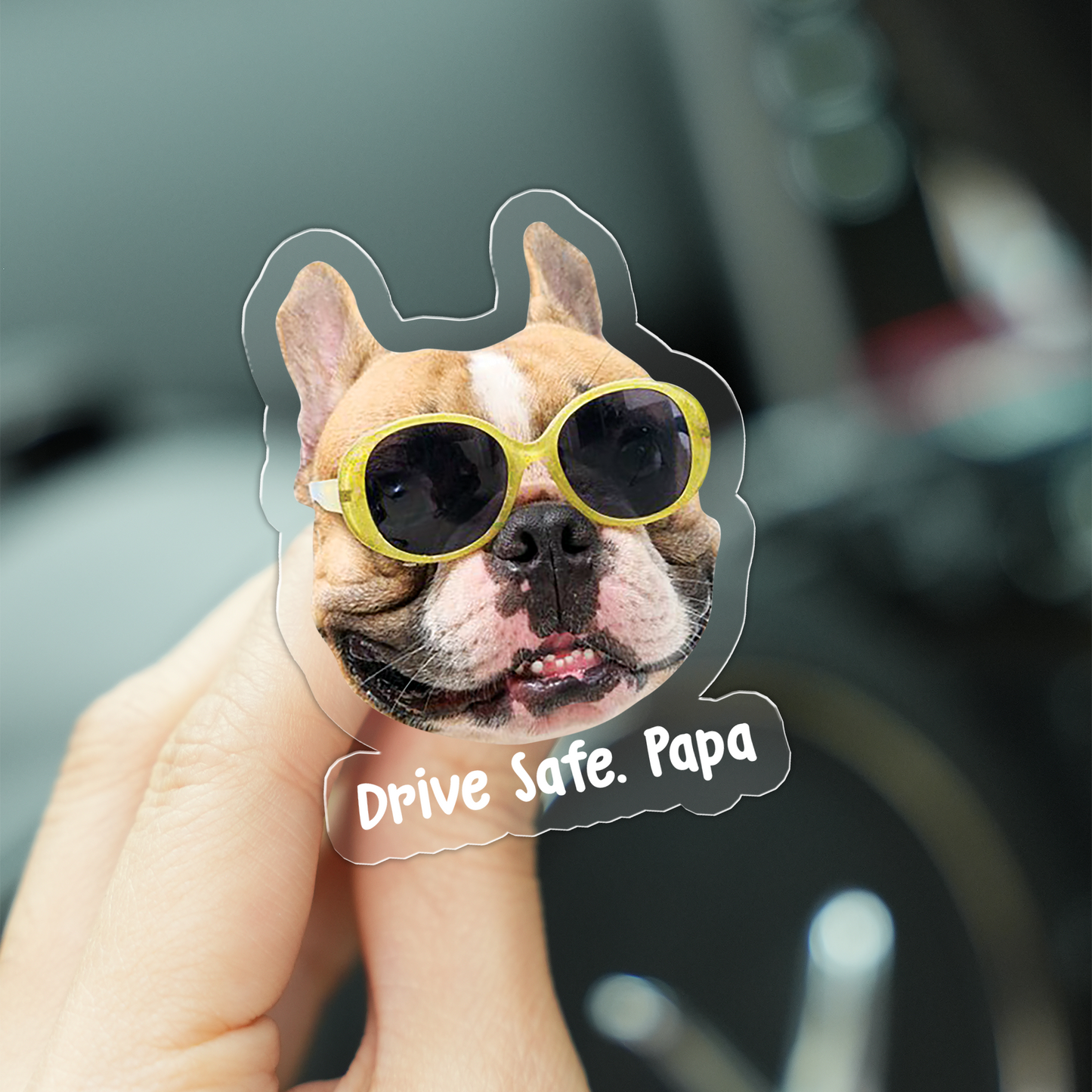 Drive Safe, Personalized Acrylic Cat/Dog Car Clip
