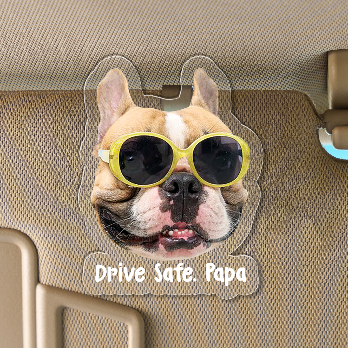 Drive Safe, Personalized Acrylic Cat/Dog Car Clip