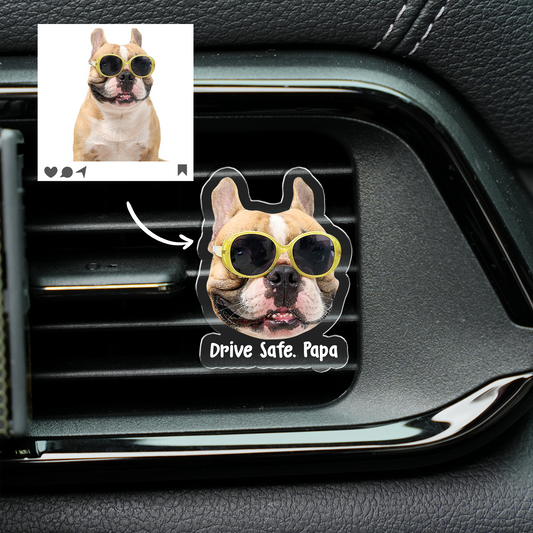Drive Safe, Personalized Acrylic Cat/Dog Car Clip