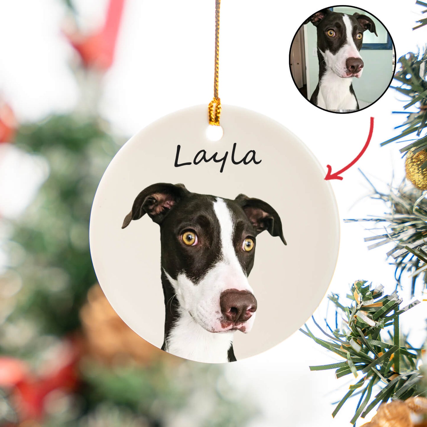 Custom Pet Portrait Ceramic Circle Ornament