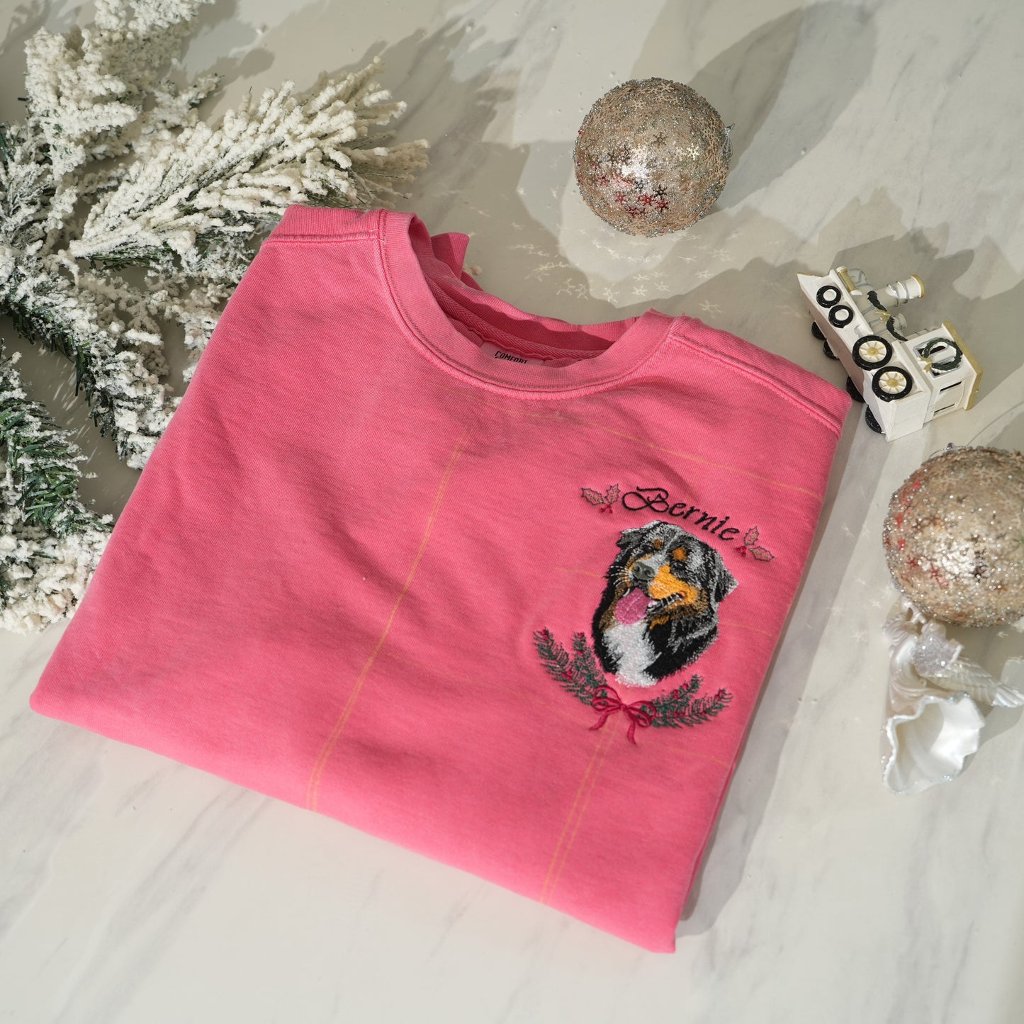 Custom Embroidered Pet Portrait Sweatshirt / Hoodie / T-Shirt