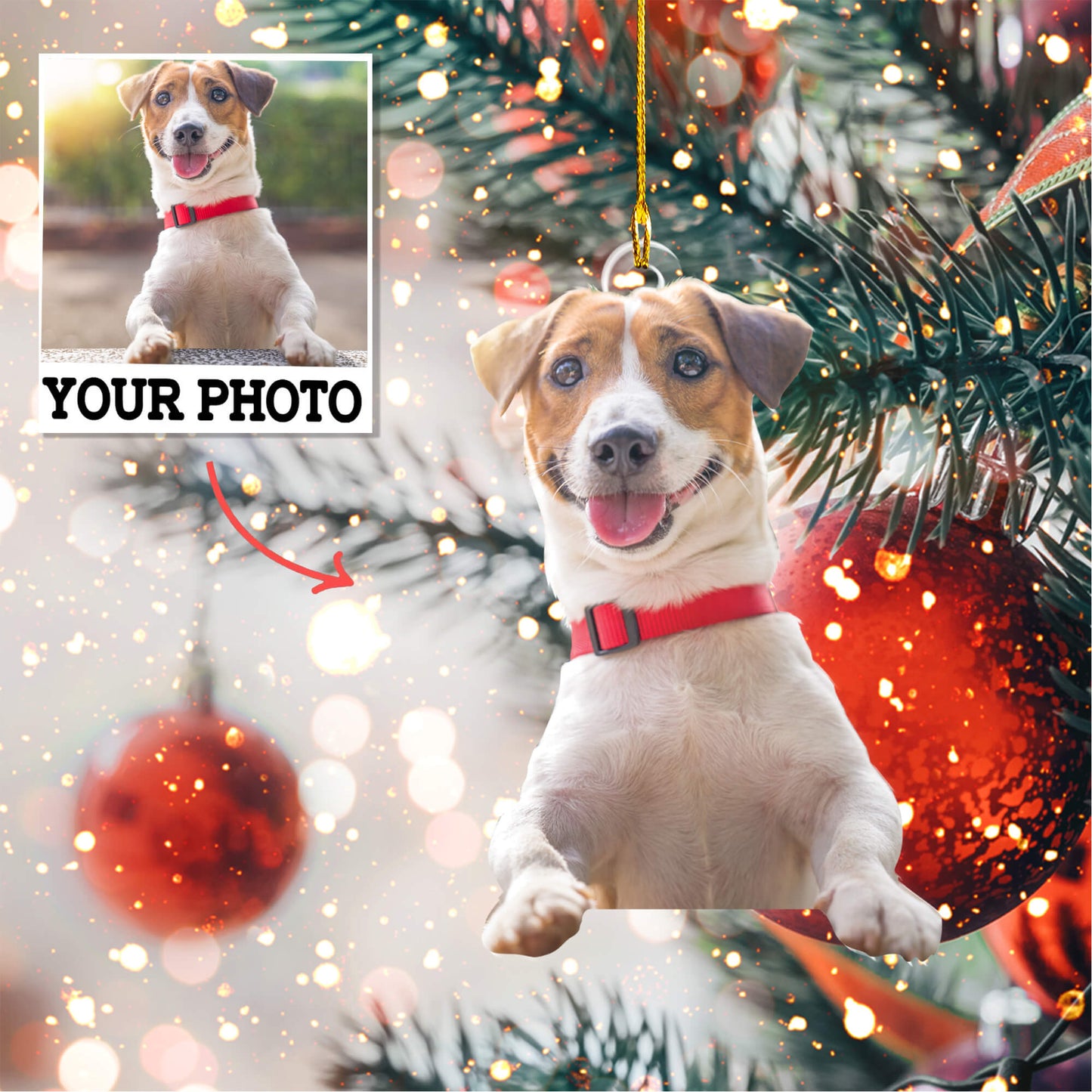 Custom shape 2-sided Acrylic Ornament