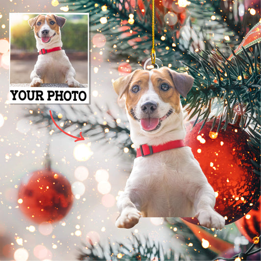 Custom shape 2-sided Acrylic Ornament