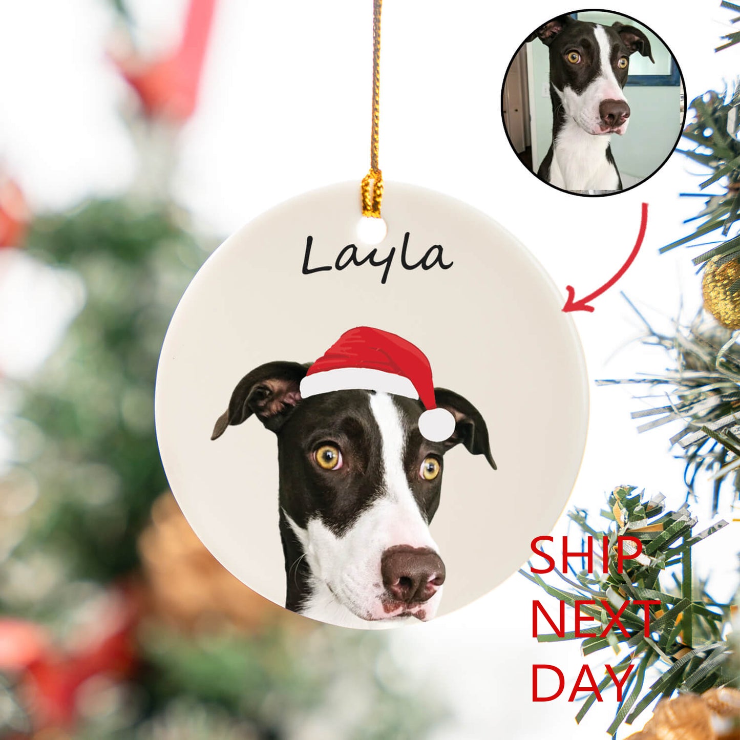 Custom Pet Portrait Ceramic Circle Ornament