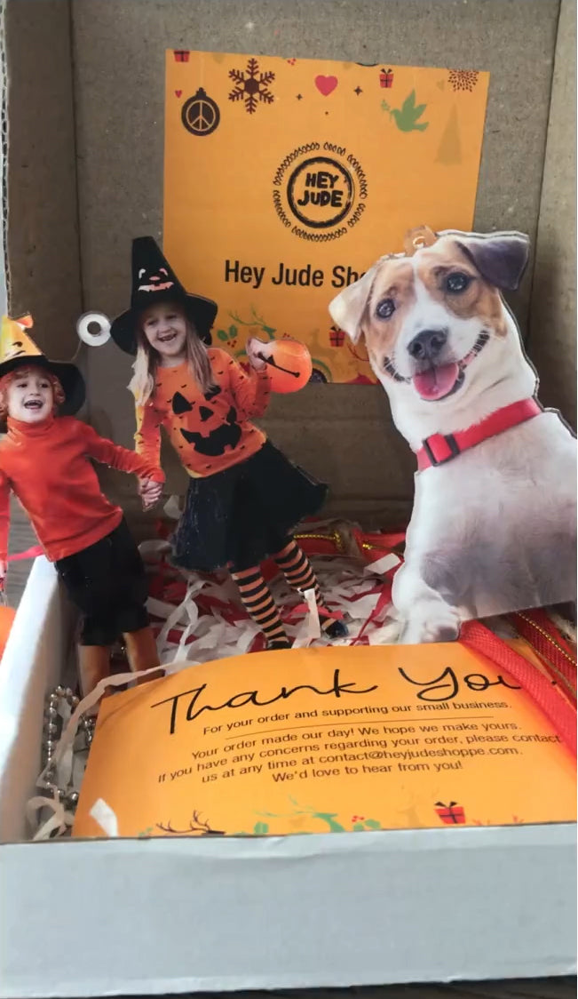 Hey Jude Branding Box