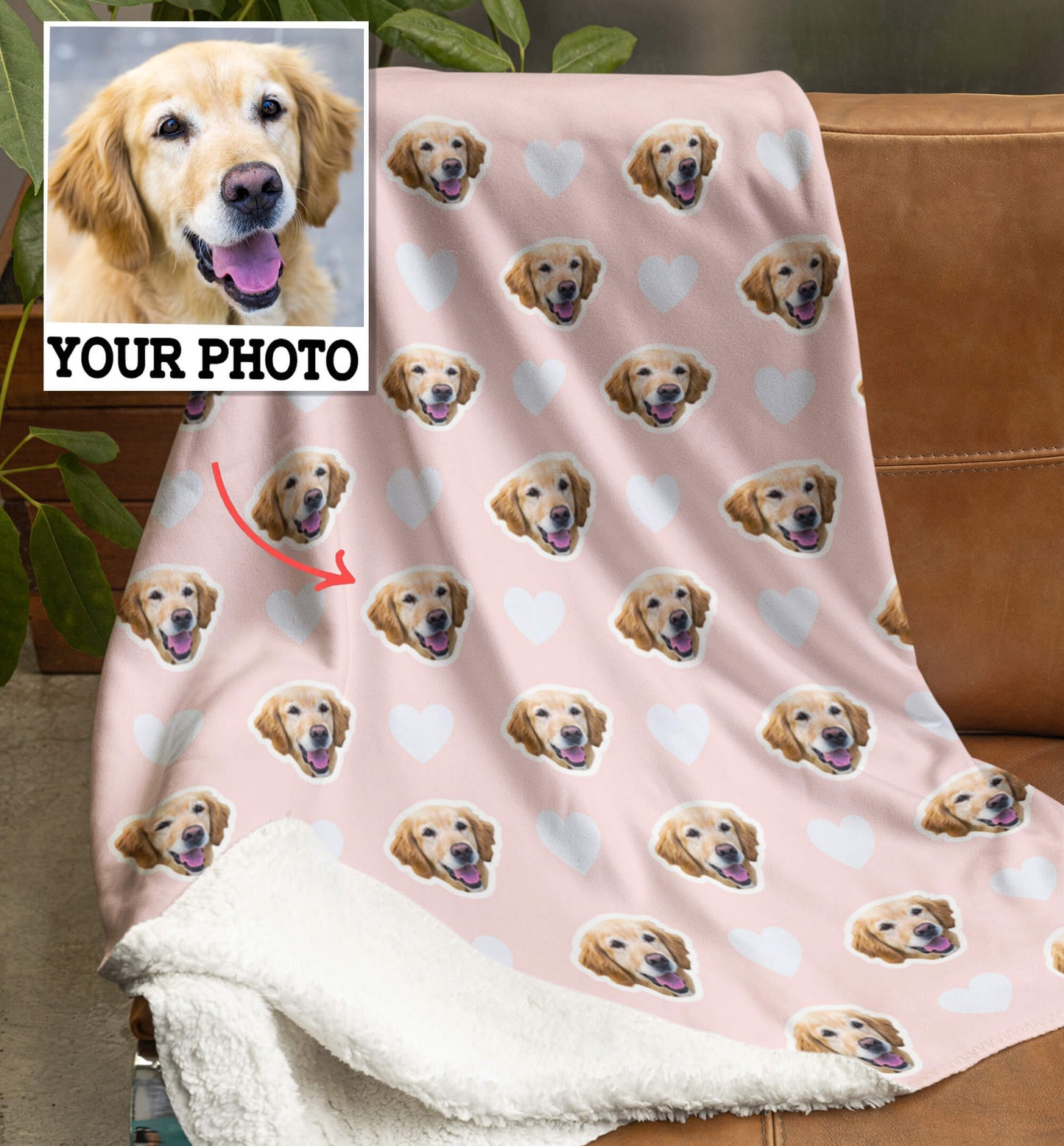 Personalized Pet Blanket