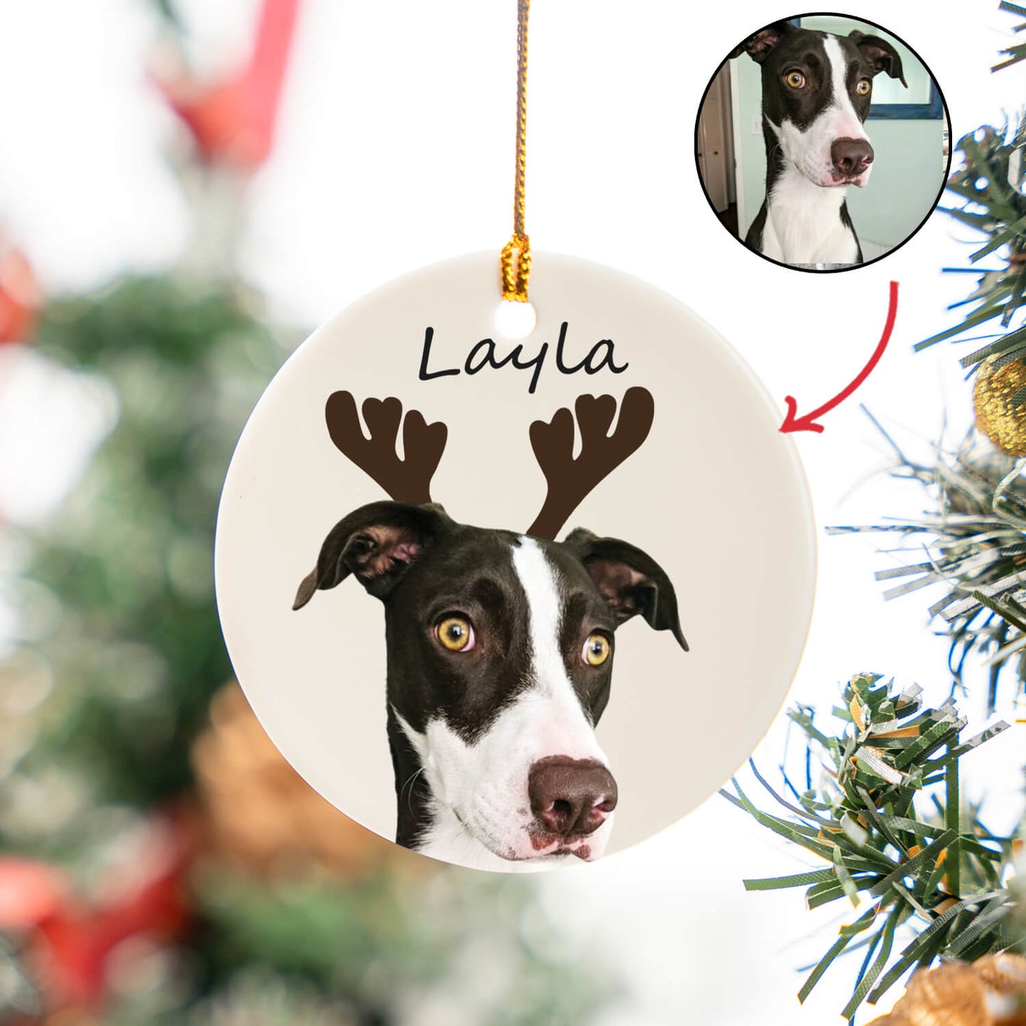 Custom Pet Portrait Ceramic Circle Ornament