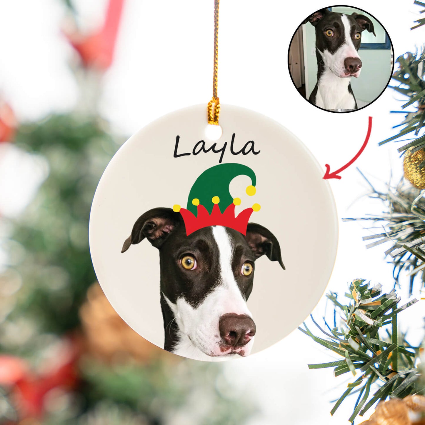 Custom Pet Portrait Ceramic Circle Ornament